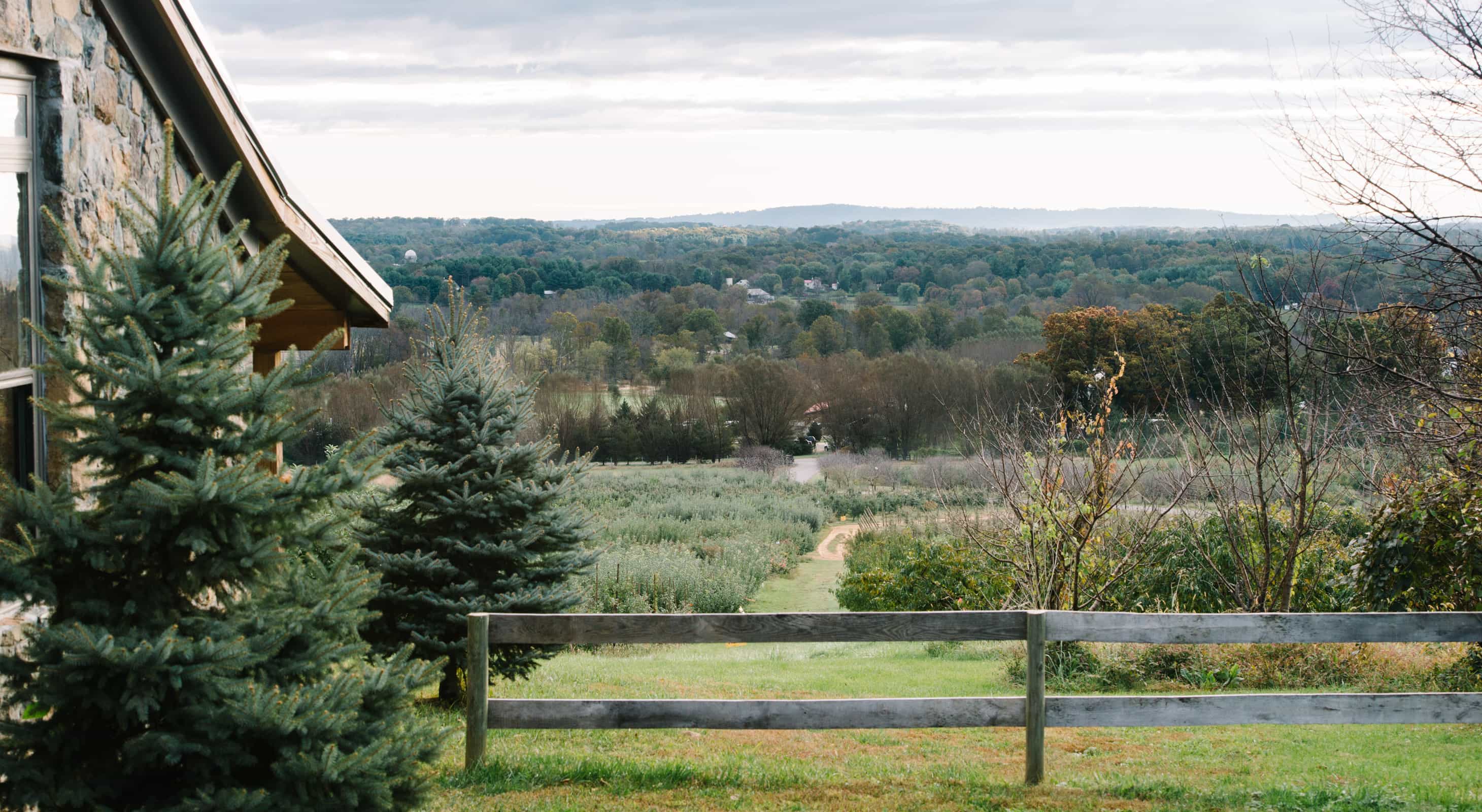 Experience the view at our Northern Virginia getaway cottages