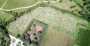 Arial Image of Corn Maze 