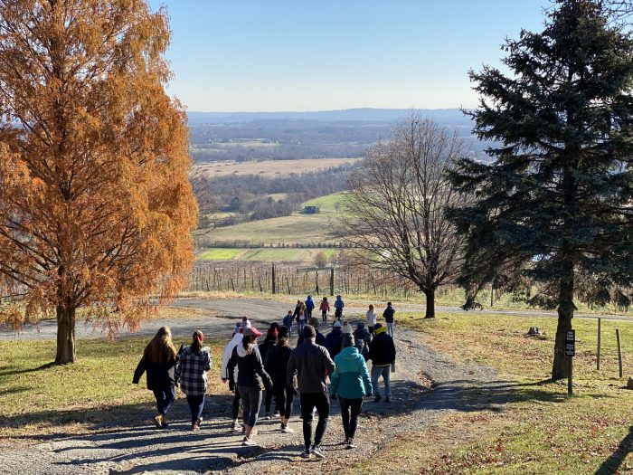 guests walking the hill at the fourth annual pre-turkey hill climb at dirt farm brewing