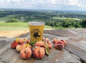Dirt Farm Brewing Som' Peach Ale Displayed with fresh peaches overlooking loudoun county