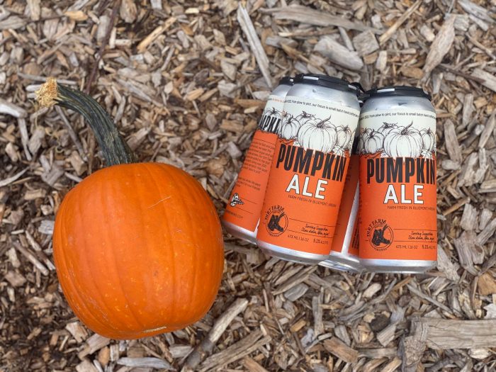 Dirt Farm Brewing Pumpkin Ale Beer Release + Nomini Bay Oysters + Live Music Event Loudoun County Brewery