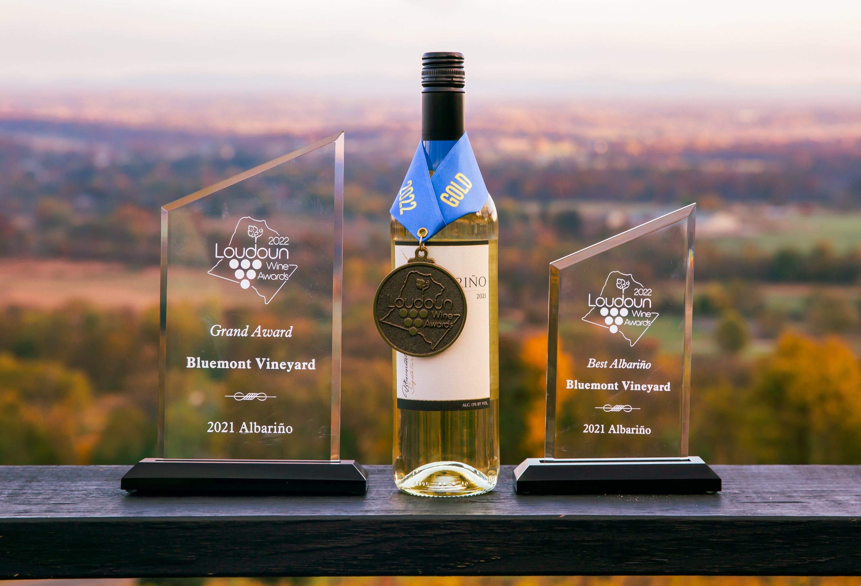 Bluemont Vineyard 2021 Albariño, award winning wine