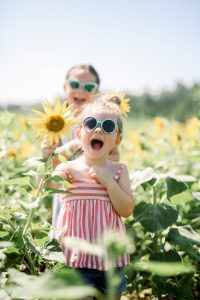 Children at play in sunflowers