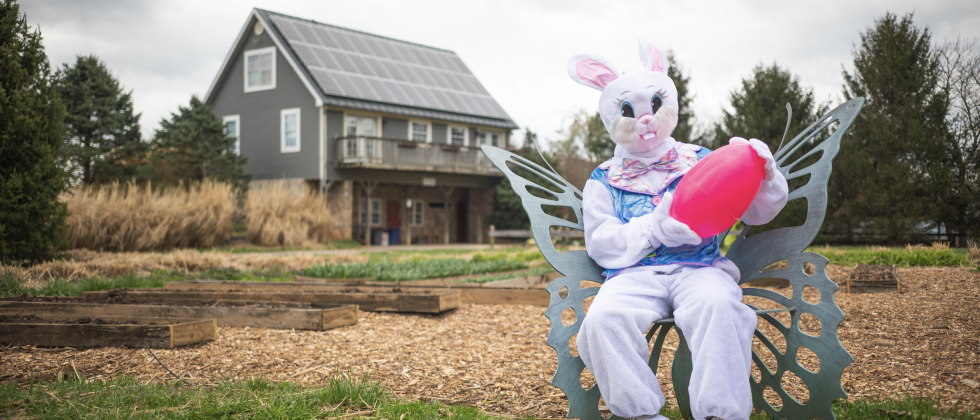 The Easter Bunny sits on a butterfly bench at Great Country Farms with giant easter egg.