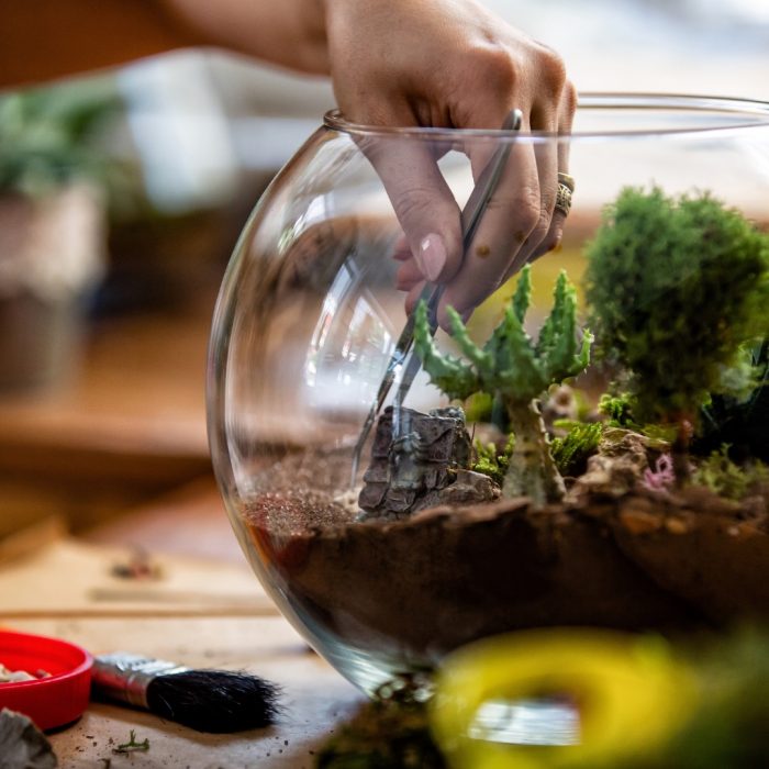 Guests building their own terrarium at Dirt farm brewings workshop with Wandering roots