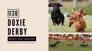 Doxie Derby: Dachshund Rescue Race!