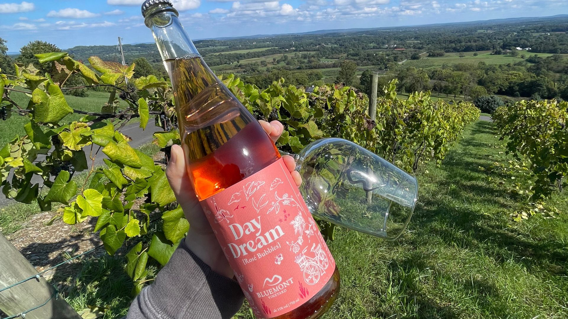 Bottle of Daydream Rose held in front of a vineyard backdrop