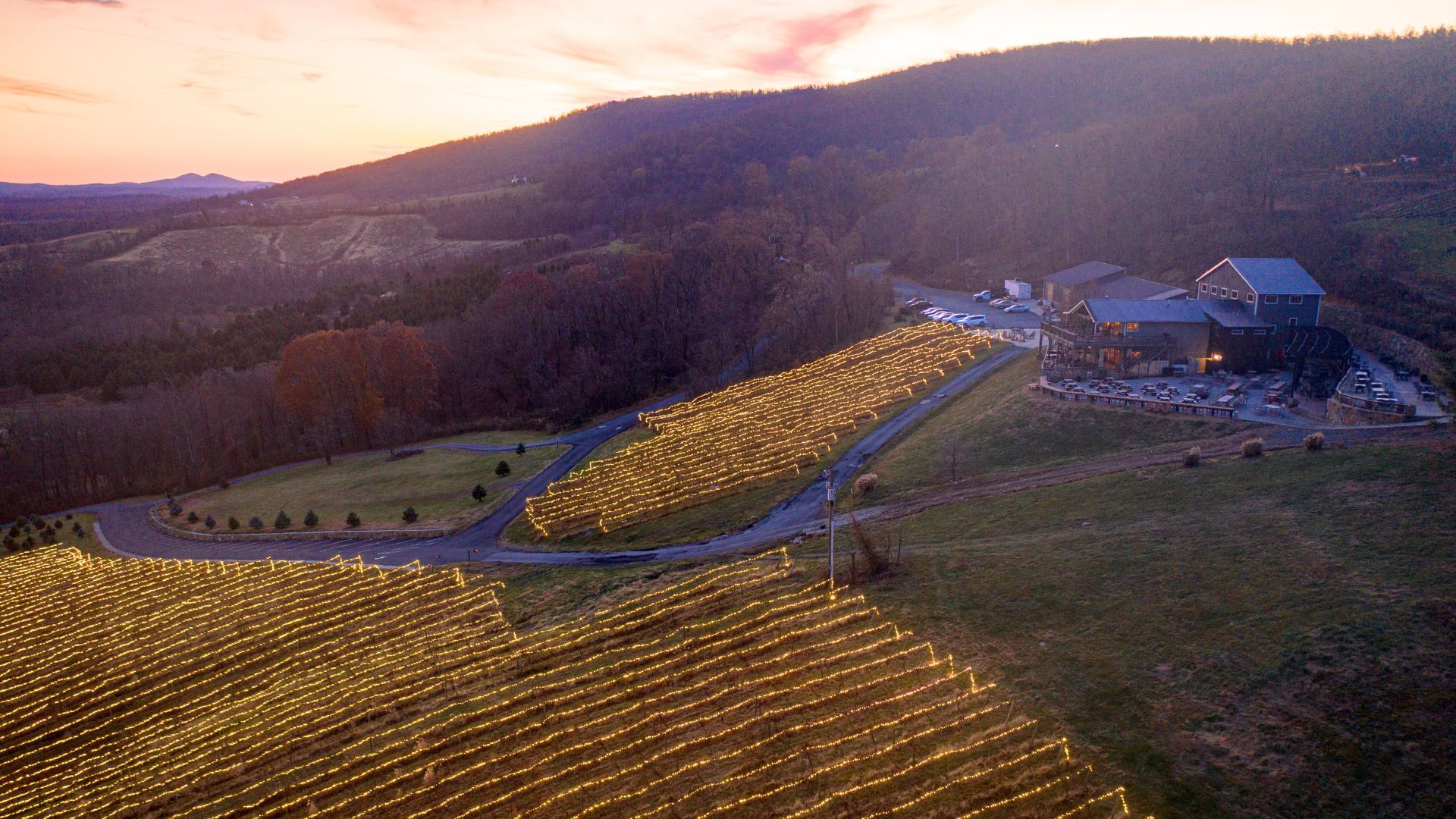 Lighting of the vines drone photo over Bluemont Vineyard at sunset