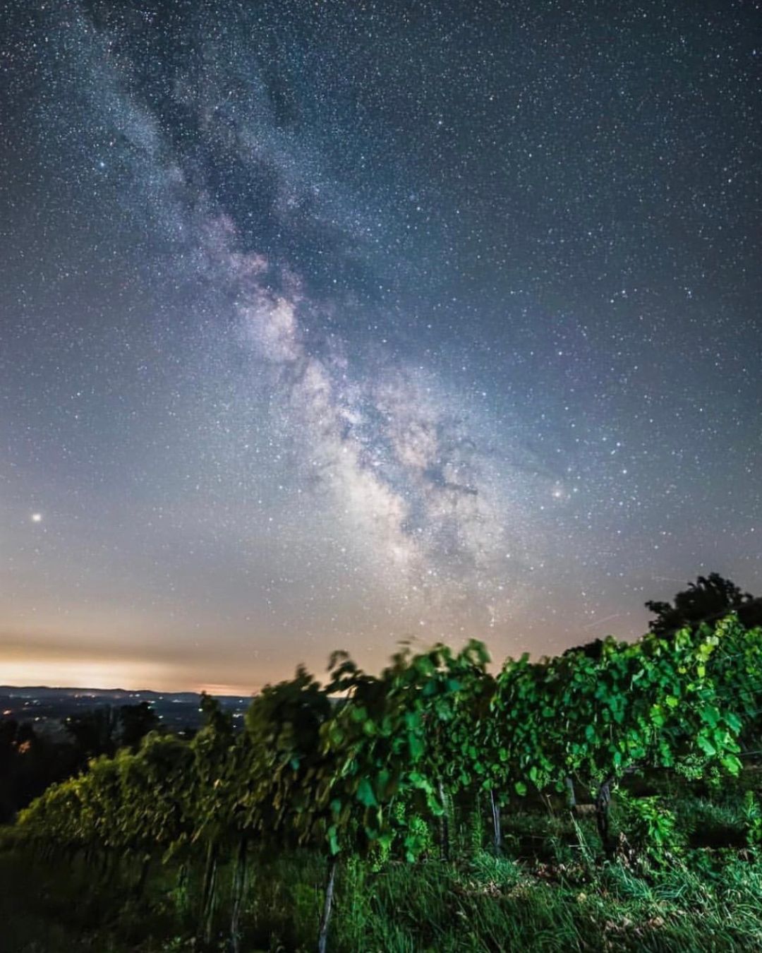 Full moon horoscope tasting main image. Photo of vibrant constellation