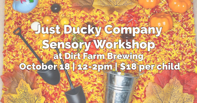 just ducky company sensory workshop flyer with toys and sensory rice at dirt farm brewing