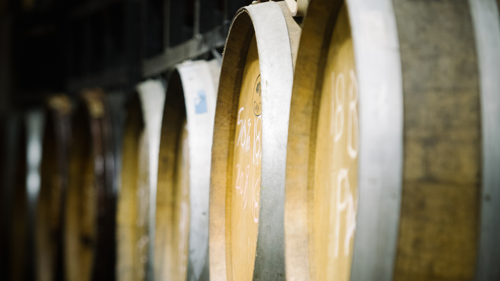 Bourbon Barrel Weekend main image of a row of wine barrels