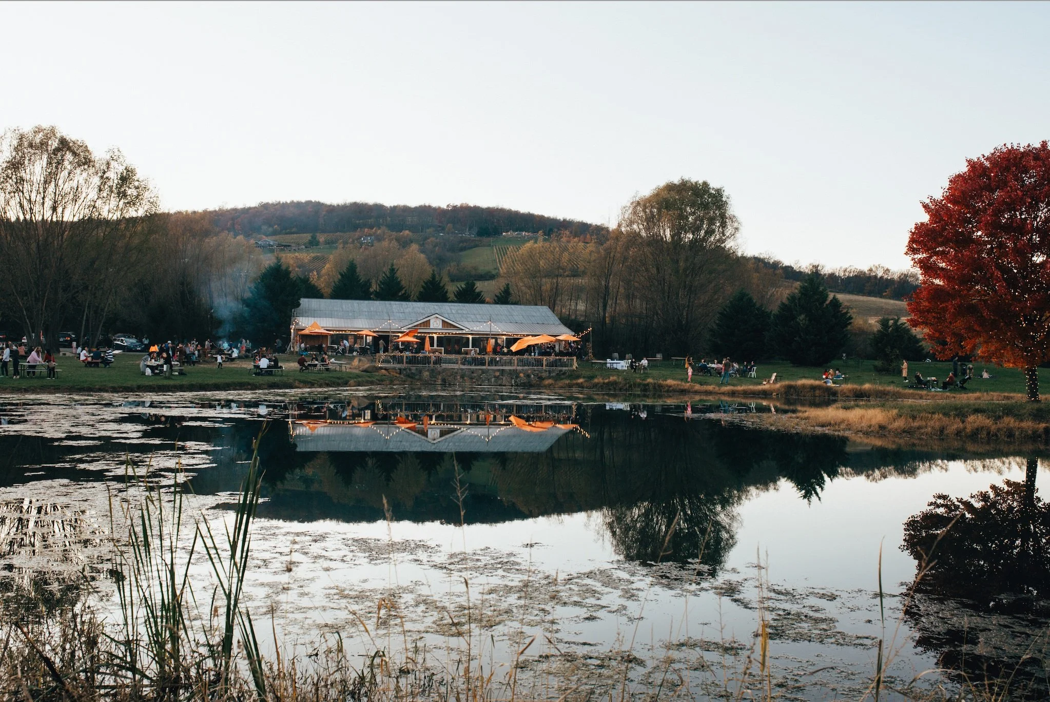 Across the Pond Cider Dinner main image of the cider barn in the background and the pond in the foreground