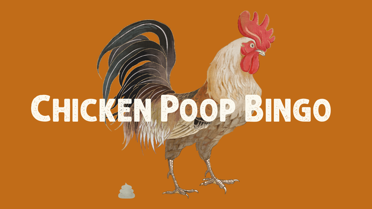 Illustration of a rooster and a drop of poop on the ground with the words chicken poop bingo over top