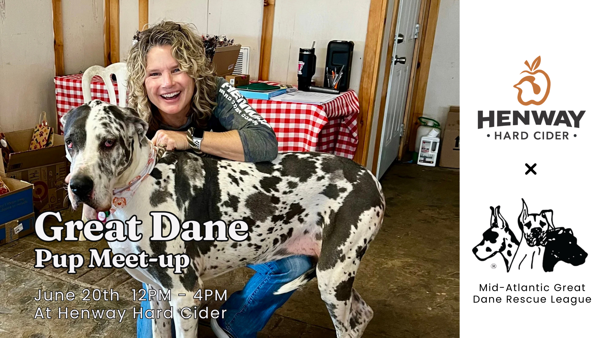 Dog and Owner at Henway Hard Cider Barn for the Great Dane Pup Meet-Up