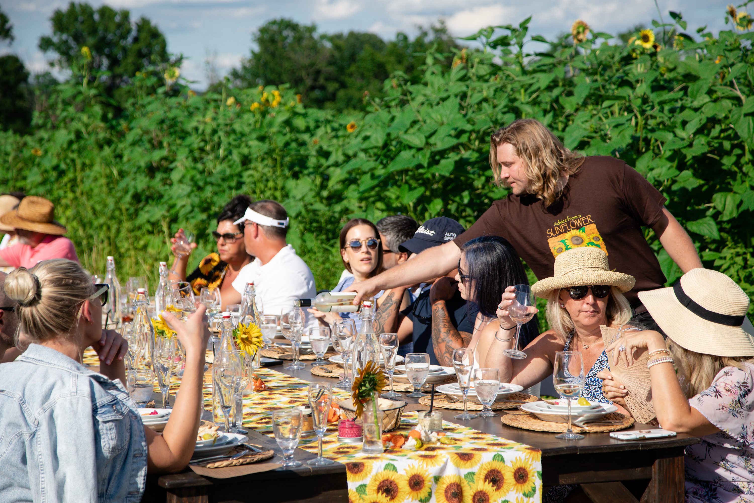 Guests enjoying an outdoor sunflower cider dinner in Great Country Farms sunflower fields.