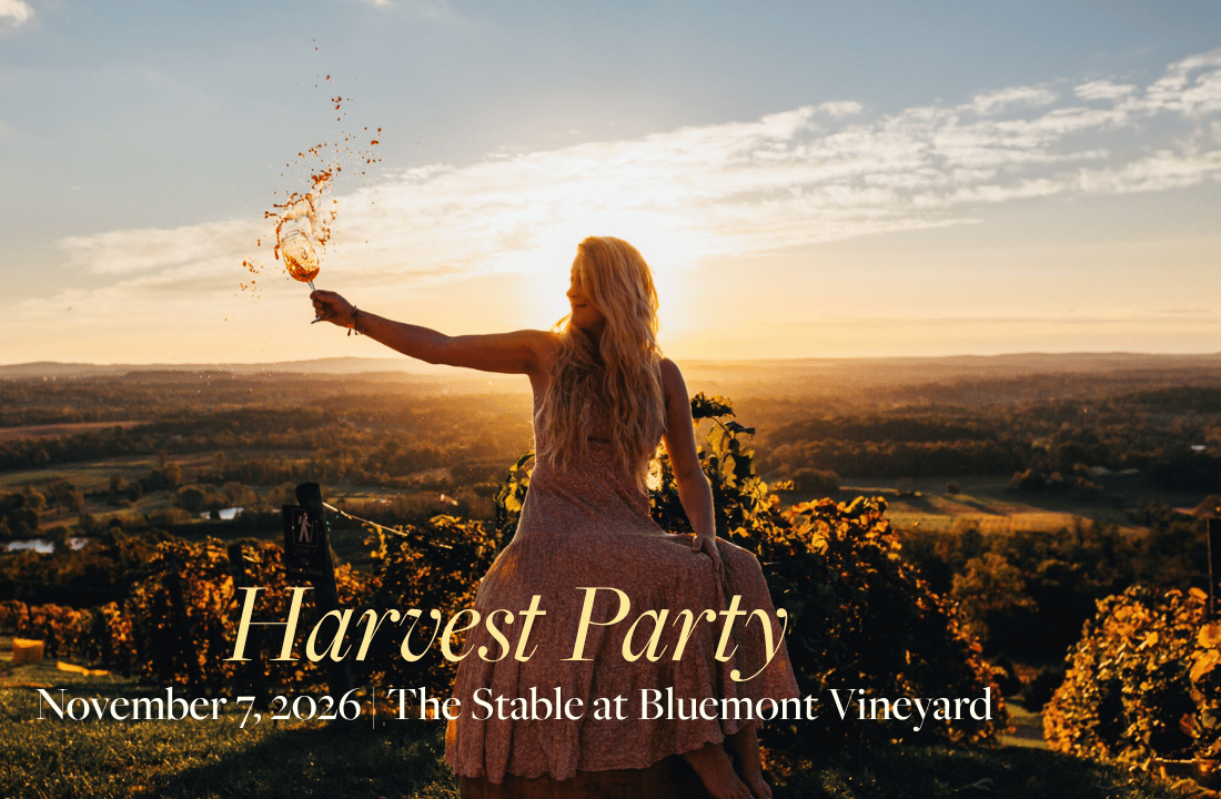 Woman holding wine glass in front of sunrise view at Bluemont Vineyard