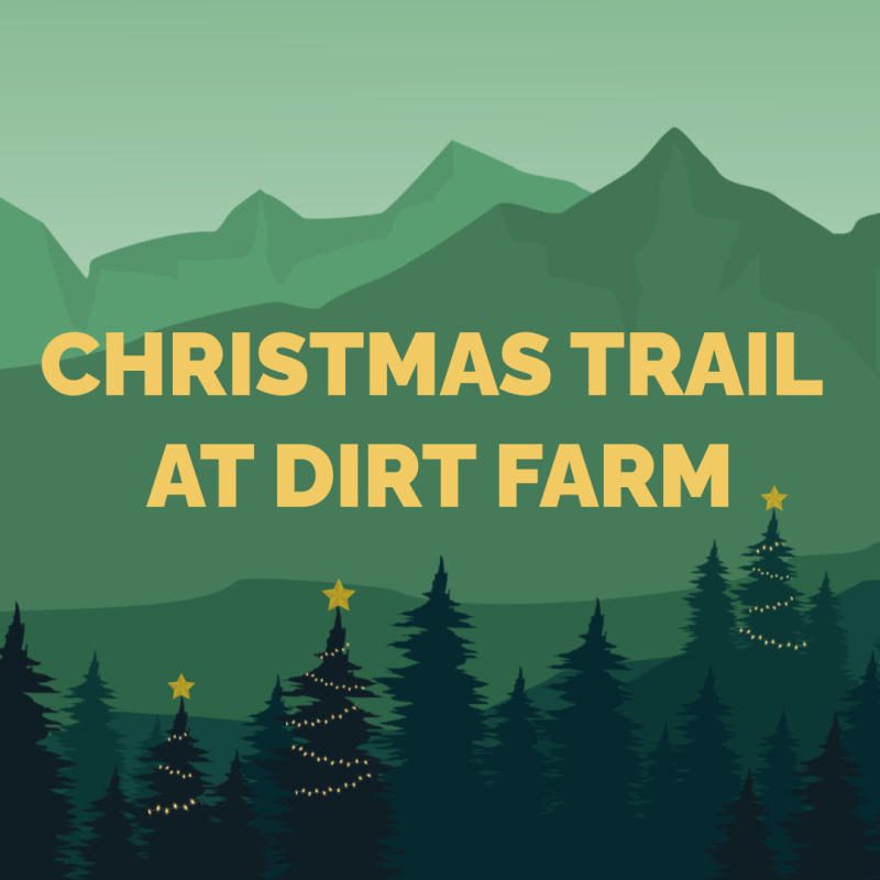 Flyer for The Christmas Trail at dirt farm Brewing with pine trees covered in holiday lights in Bluemont in loudoun county, virginia
